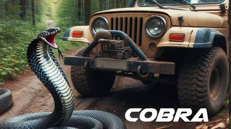 cobra-platofestek-banner-02